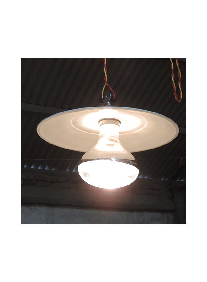 NIBEMINENT High Intensity Lamp Bulb Multicolour 200watts - Image 4