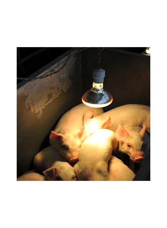 NIBEMINENT High Intensity Lamp Bulb Multicolour 200watts - Image 2