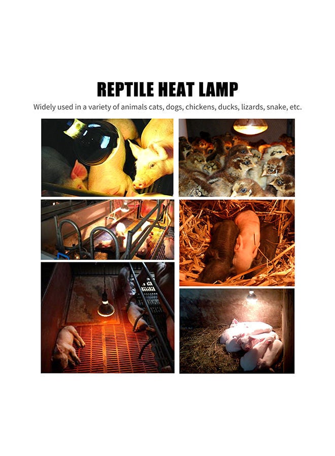 NIBEMINENT High Intensity Lamp Bulb Multicolour 200watts - Image 3