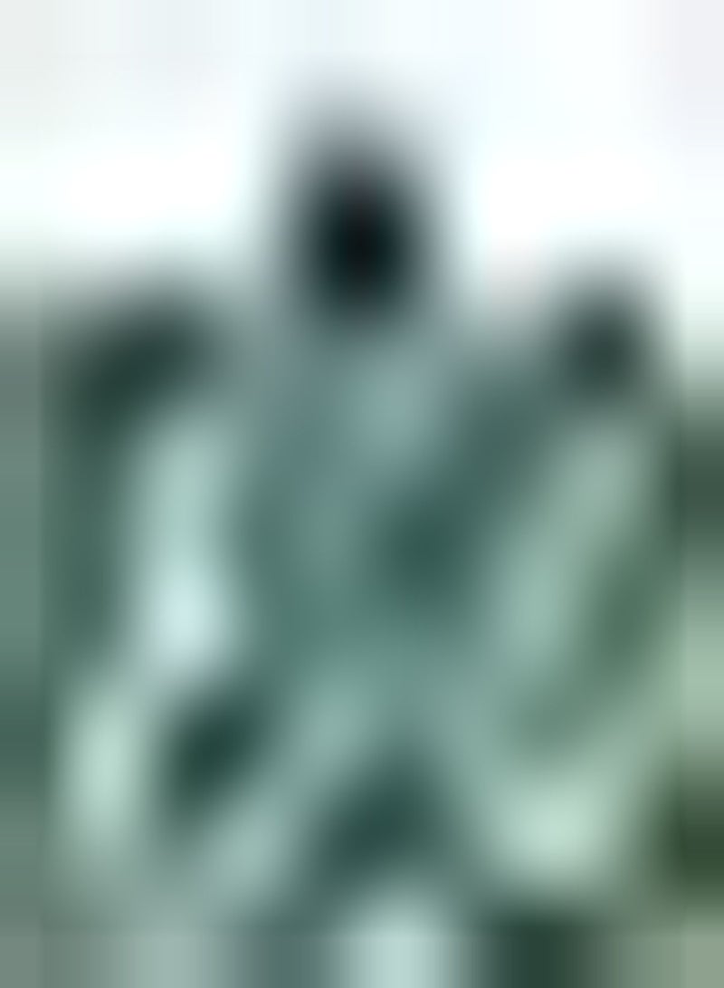 GGOOT 100pcs Spruce Seeds Rare Beautiful Suitable for Anyone Who Wants to Plant Landscape Design Create Different Atmosphere Rural Scenery - Image 1