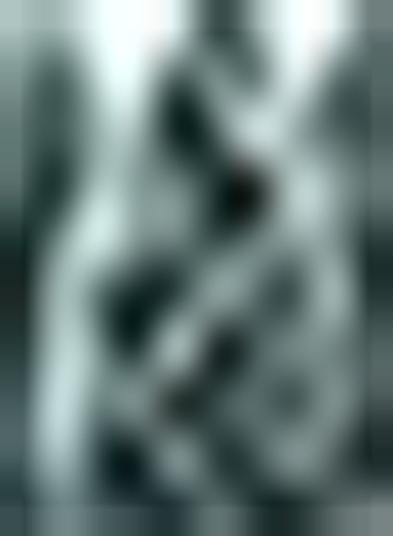 GGOOT 100pcs Spruce Seeds Rare Beautiful Suitable for Anyone Who Wants to Plant Landscape Design Create Different Atmosphere Rural Scenery - Image 2