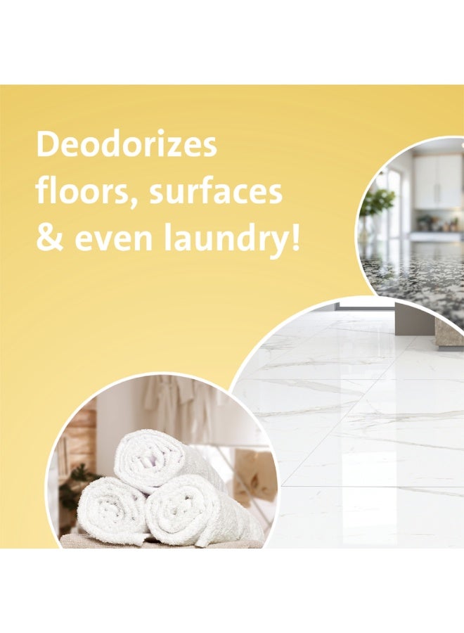 loyal Multi-Purpose Household Deodorizer Musk & Amber 2.1 Liter - Image 2