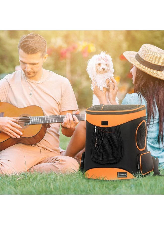 Petsfit Petsfit Dog Backpack Carrier with Upgrade Waist Cushion Design to Better Fit The Waist, Suitable for Small and Medium Dogs Cats, and Rabbits up to 18 Pounds  - Image 2