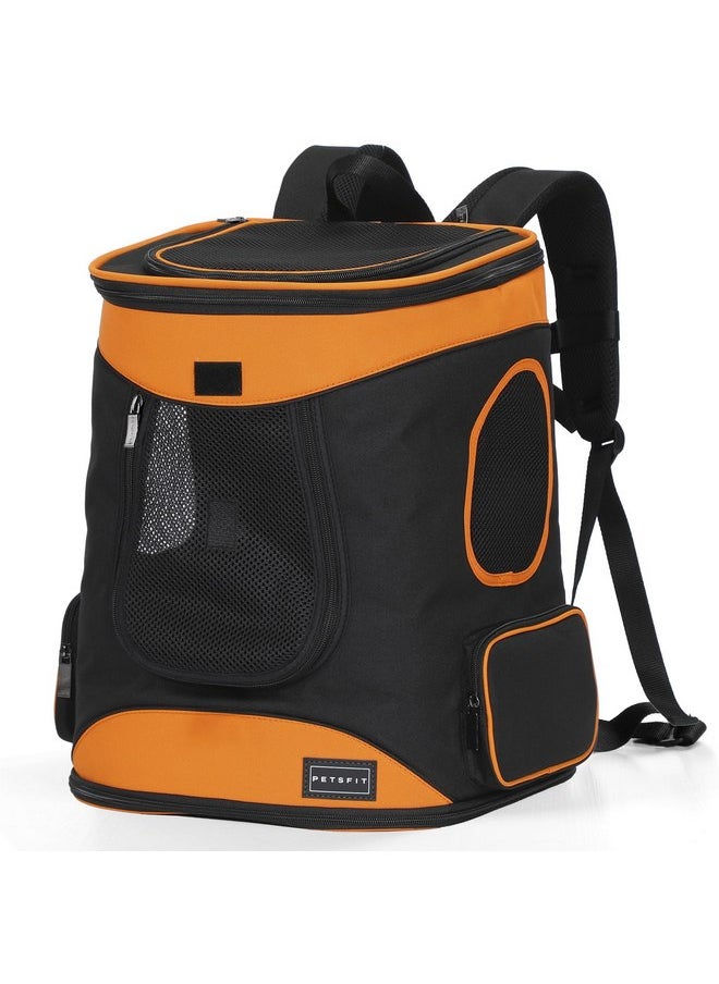 Petsfit Petsfit Dog Backpack Carrier with Upgrade Waist Cushion Design to Better Fit The Waist, Suitable for Small and Medium Dogs Cats, and Rabbits up to 18 Pounds  - Image 1