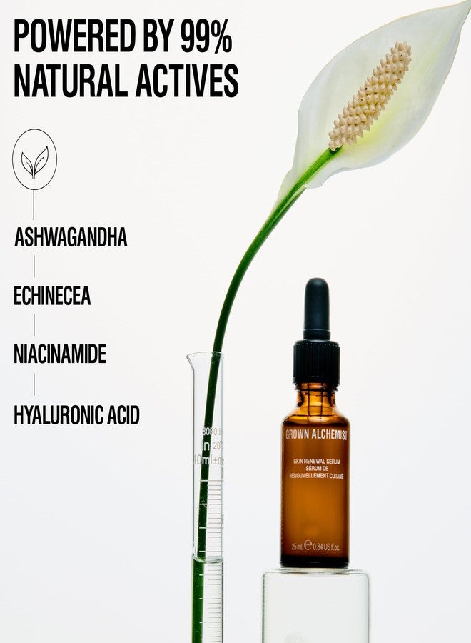 Grown Alchemist Skin Renewal Anti Aging Serum. With Ashwagandha, Niacinamide & Hyaluronic Acid. Hydrating, Firming for Dark Spots & Wrinkles (25ml) - Image 2