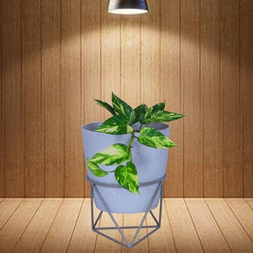 D&V ENGINEERING - Creative in innovation D&V Engineering Modern Diamond Shape Metal Plant Stand | Stylish Indoor & Outdoor Planter Holder | Elegant Decor for Living Room, Bedroom & Garden | Ideal Gift for Plant Lovers - Grey - Image 1
