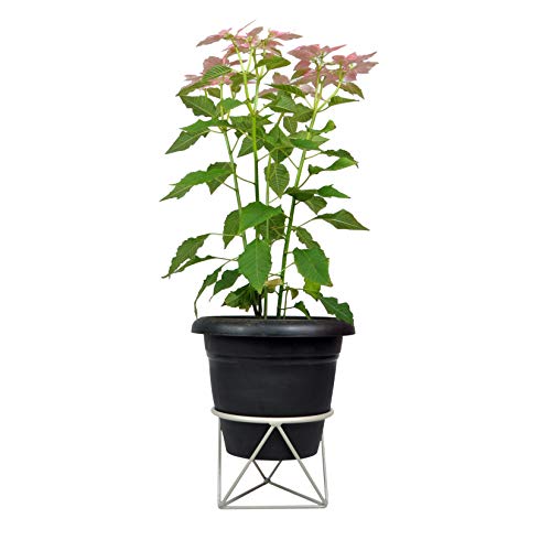 D&V ENGINEERING - Creative in innovation D&V Engineering Modern Diamond Shape Metal Plant Stand | Stylish Indoor & Outdoor Planter Holder | Elegant Decor for Living Room, Bedroom & Garden | Ideal Gift for Plant Lovers - Grey - Image 4