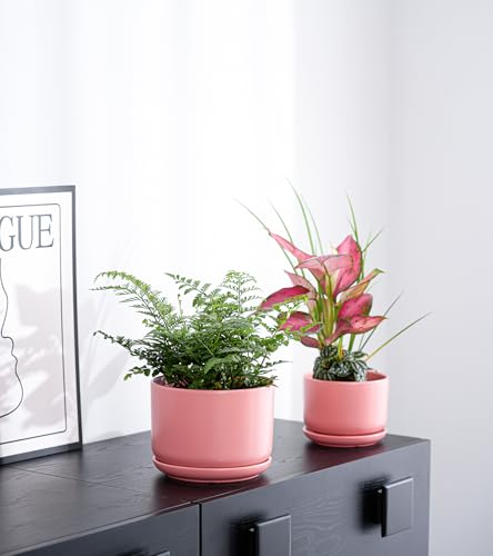 Ton Sin Ceramic Plant Pot with Drainage Hole and Saucer for Indoor Plants, Decorative Round Flower Pot for House Plants, Succulent Orchid Planter(Matte Orange) - Image 4