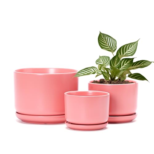 Ton Sin Ceramic Plant Pot with Drainage Hole and Saucer for Indoor Plants, Decorative Round Flower Pot for House Plants, Succulent Orchid Planter(Matte Orange) - Image 5