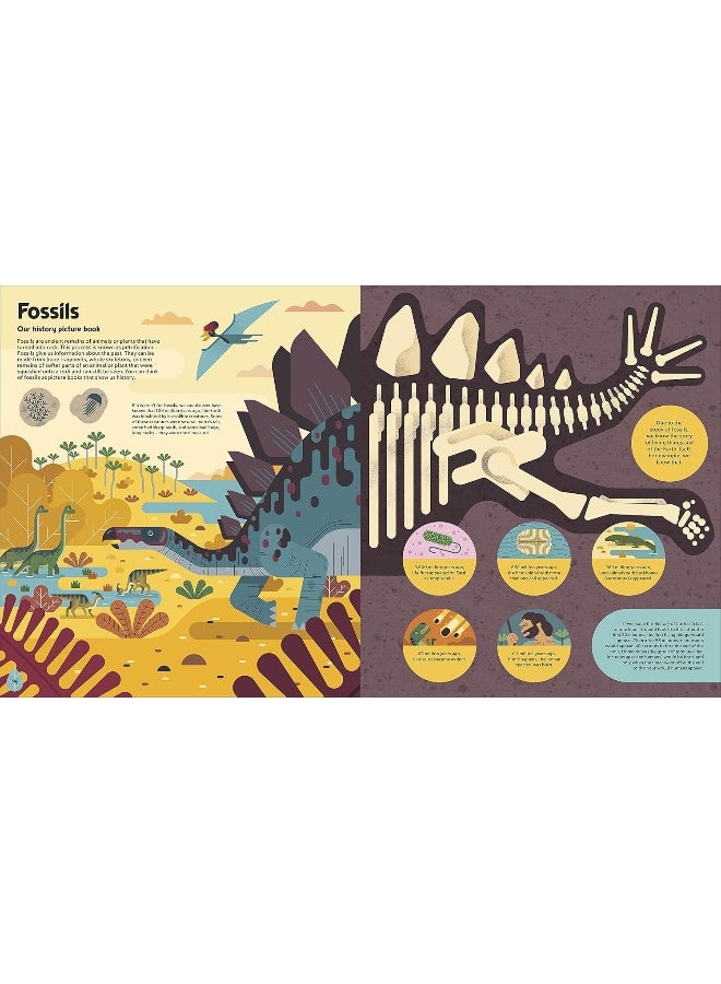 DK Evolved: An Illustrated Guide to Evolution - Image 5