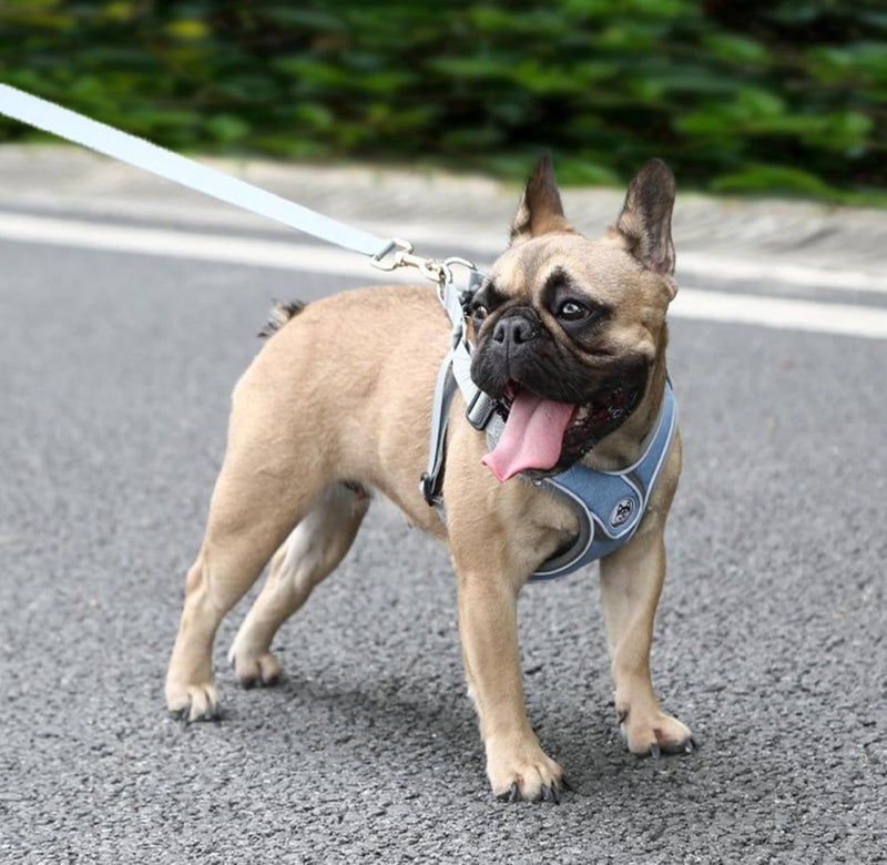 cheekyglo PT09 Pet Dog Puppy NoPull Harness Walking Training Harness with Leash Reflective Vest (Blue, XSmall)XSmall Blue - Image 4