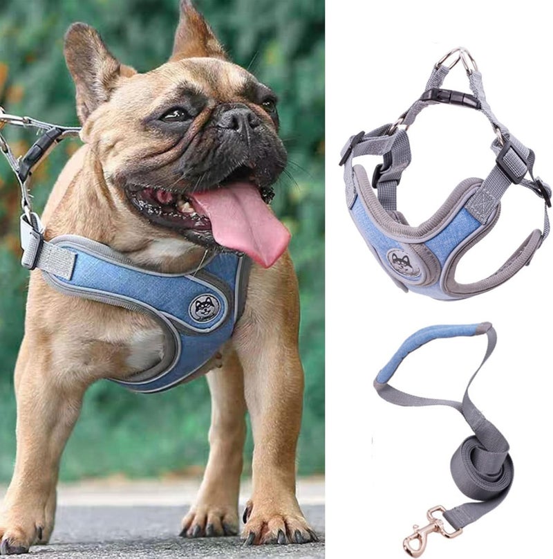 cheekyglo PT09 Pet Dog Puppy NoPull Harness Walking Training Harness with Leash Reflective Vest (Blue, XSmall)XSmall Blue - Image 1