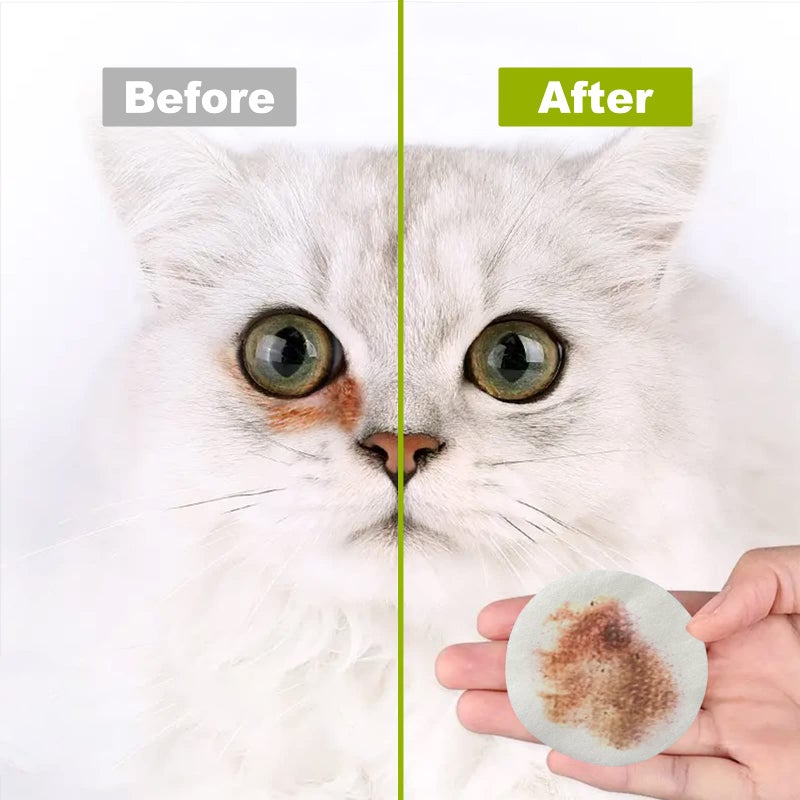 DR. EASY DR.EASY Pet Eye Wipes 120 Ct for Dog Cat Horse & Rabbit Grooming,Tear stain remover,Puppy Kitty eye wash,Remove dirt crust dried mucus discharge secretions, Unscented soft & gentle,Plant Based Formula - Image 4