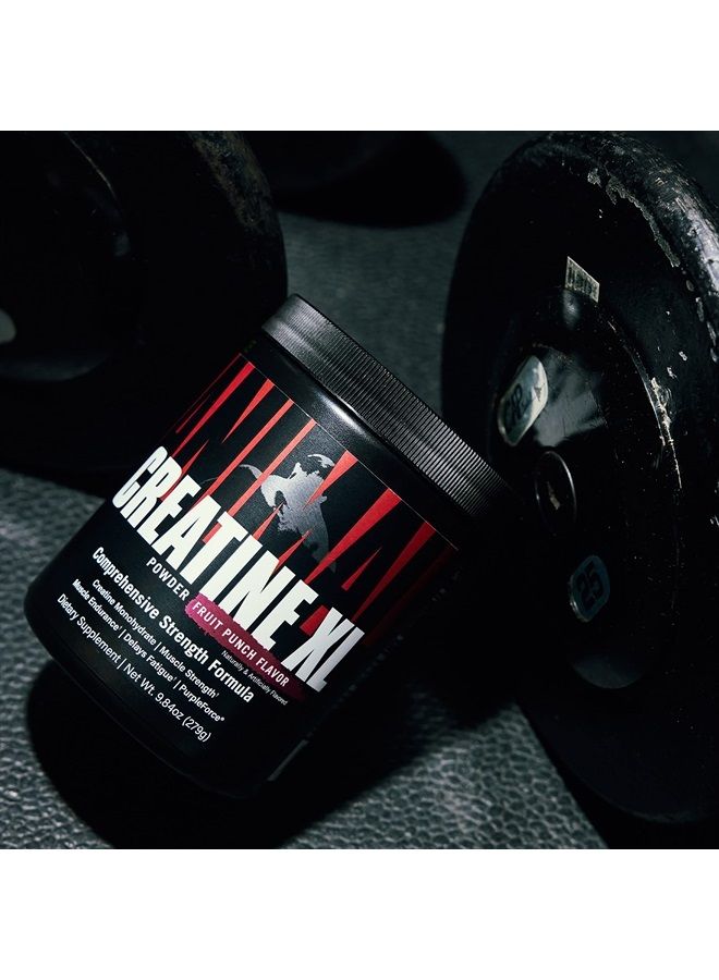 ANIMAL Creatine XL Powder – Enhanced Creatine Monohydrate Supplement Plus Betaine Anhydrous, PurpleForce & Senactiv – Delay Muscle Fatigue, Enhance Endurance, Improve Recovery – Watermelon, 9.84 oz - Image 2
