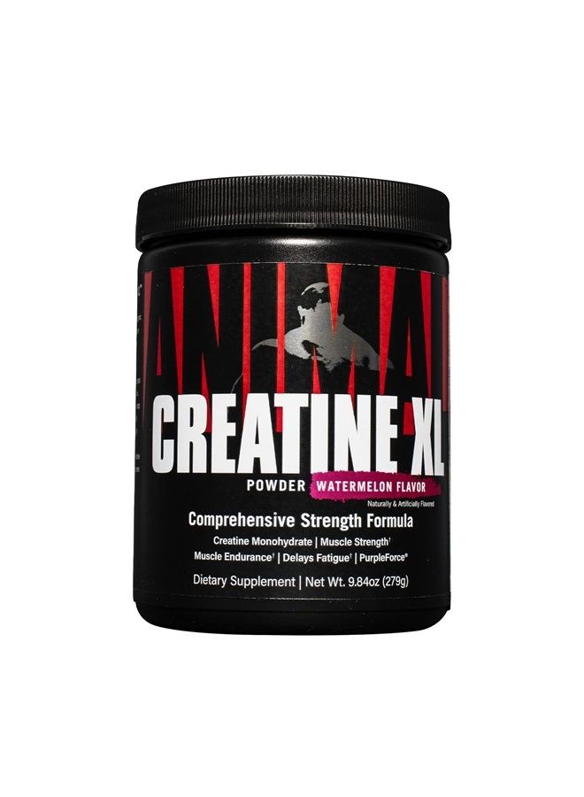 ANIMAL Creatine XL Powder – Enhanced Creatine Monohydrate Supplement Plus Betaine Anhydrous, PurpleForce & Senactiv – Delay Muscle Fatigue, Enhance Endurance, Improve Recovery – Watermelon, 9.84 oz - Image 1