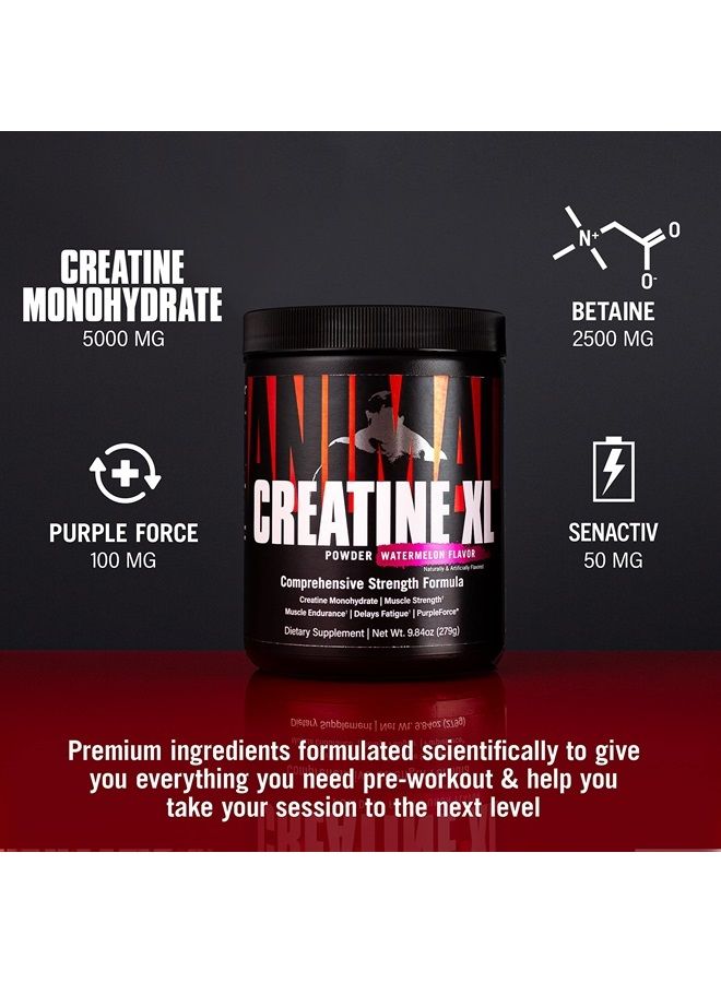 ANIMAL Creatine XL Powder – Enhanced Creatine Monohydrate Supplement Plus Betaine Anhydrous, PurpleForce & Senactiv – Delay Muscle Fatigue, Enhance Endurance, Improve Recovery – Watermelon, 9.84 oz - Image 5