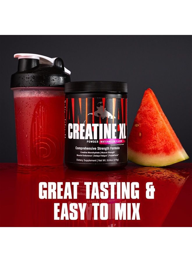 ANIMAL Creatine XL Powder – Enhanced Creatine Monohydrate Supplement Plus Betaine Anhydrous, PurpleForce & Senactiv – Delay Muscle Fatigue, Enhance Endurance, Improve Recovery – Watermelon, 9.84 oz - Image 4
