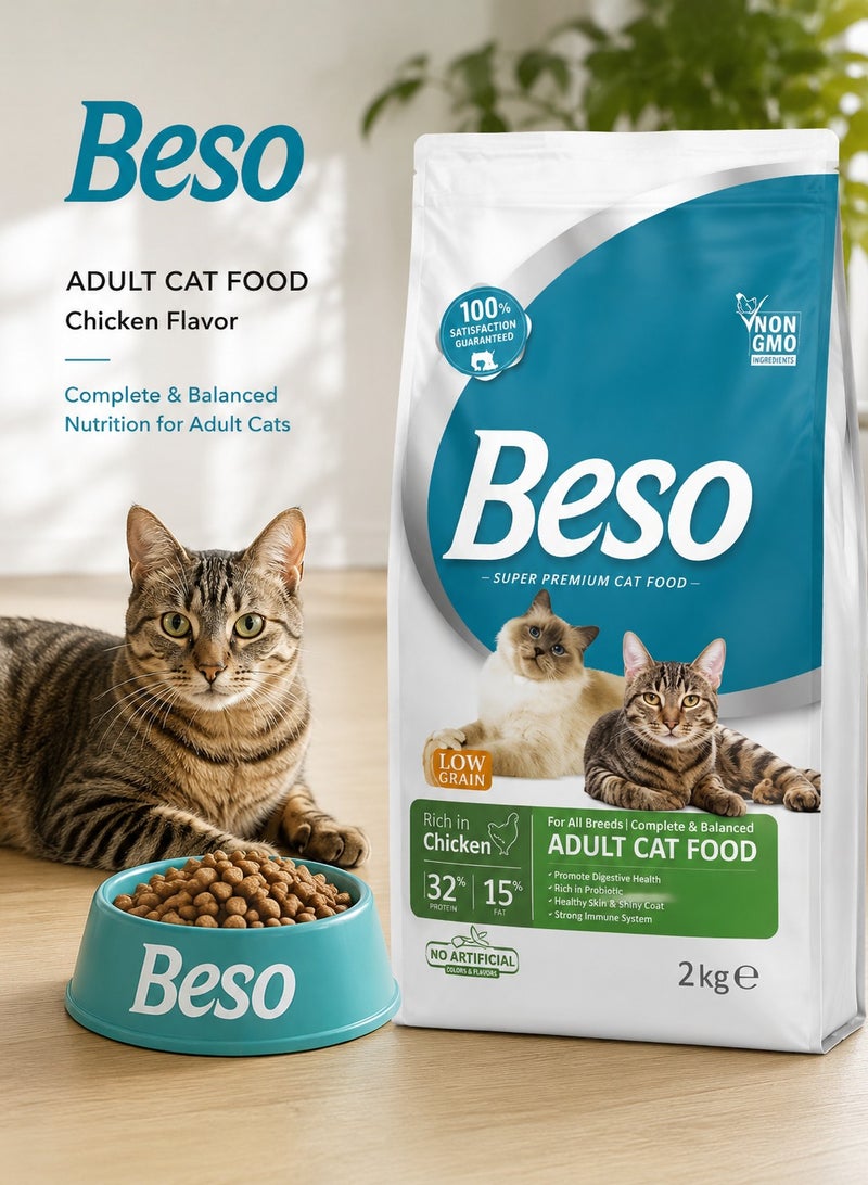 Beso Adult Dry Cat Foods with Chicken Flavor 2KG – Probiotic Cat Food Supporting Digestive Health - Image 1
