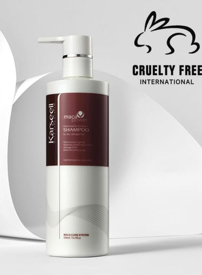 كارسيل شامبو زيت الأرغان بخلاصة الأعشاب، شامبو مرطب لإصلاح عميق للشعر الجاف والتالف، 500 مل - Image 5