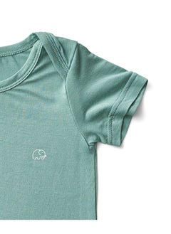 Anvi Baby Organic Bamboo Spandex Bodysuit- Soft Sage	6 to 12 months  - Image 2