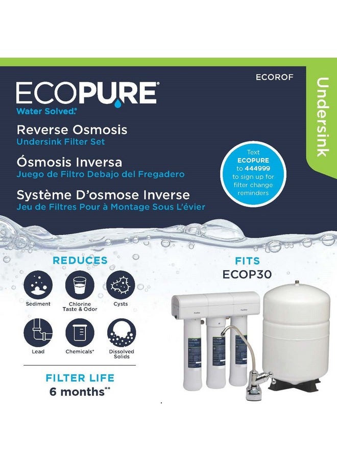 EcoPure - EcoPure ECOROF Reverse Osmosis Under Sink Replacement Water Filter(Fits ONLY - EcoPure ECOP30 Reverse Osmosis System and Kenmore Reverse Osmosis Systems 42-38156 & 42-38556 ) 6-Month Life (Pack of 2) - Image 1