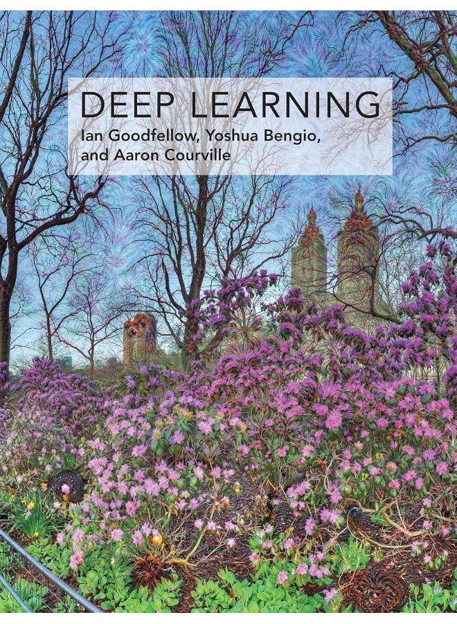 MIT Press Deep Learning 