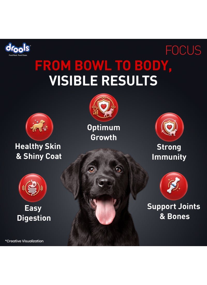 Drools Focus Premiun Puppy Dry Dog Food  Real Chicken - Image 4