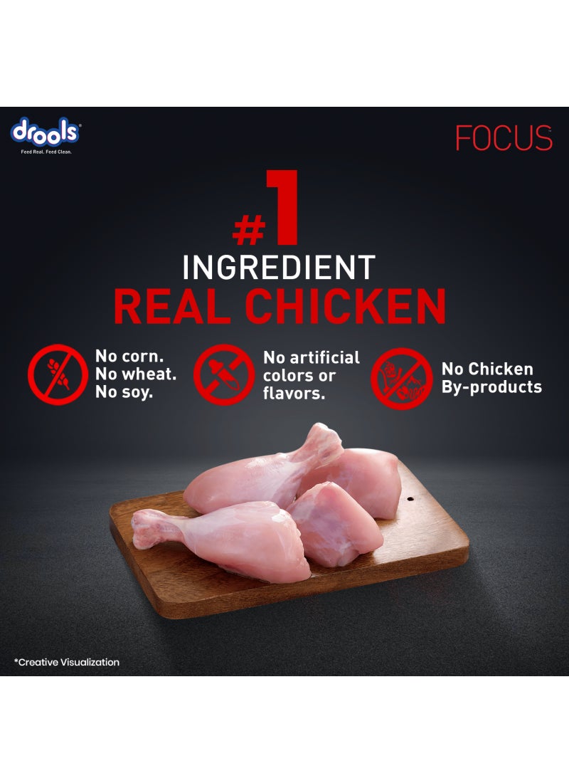 Drools Focus Premiun Puppy Dry Dog Food  Real Chicken - Image 2