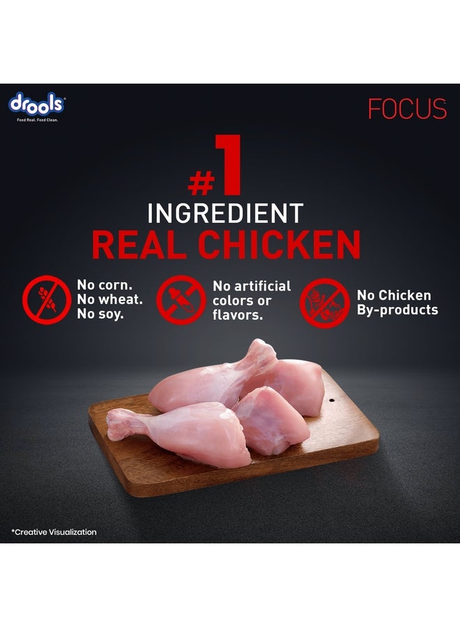 Drools Focus Premiun Puppy Dry Dog Food  Real Chicken - Image 2