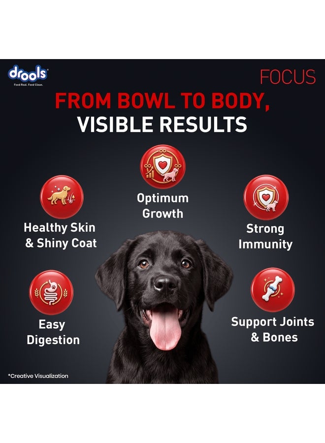 Drools Focus Premiun Puppy Dry Dog Food  Real Chicken - Image 4