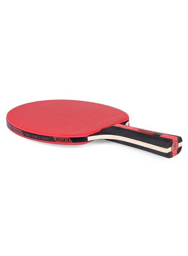 REGAIL Ping Pong Paddles and Table Tennis Set Pack of 2 Ping Pong Rackets with 3 Balls and Carry Bag for Beginners Boys Girls - Image 5