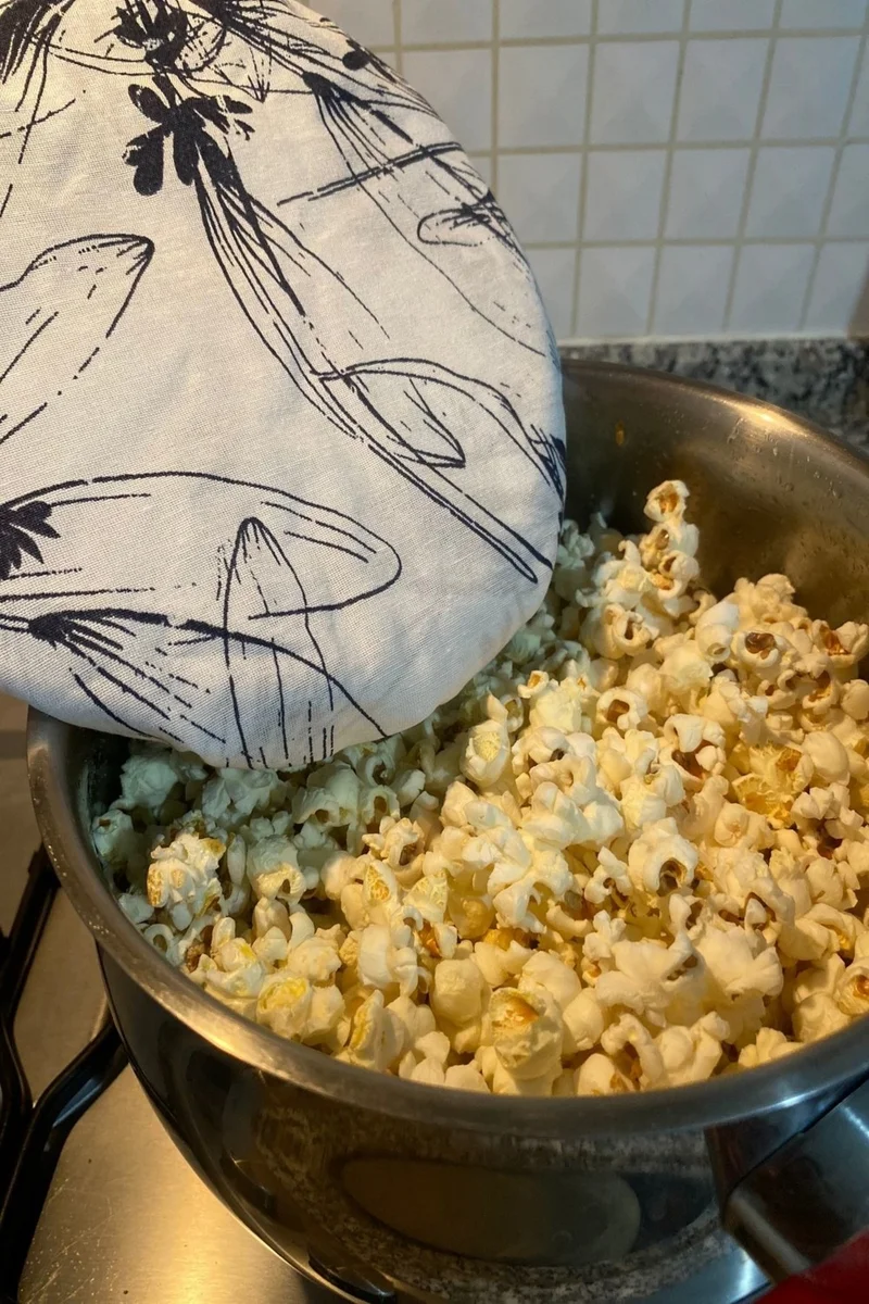 Emtory Home Rice Brewing Cover - Popcorn Oil Leak Proof - Elastic - Navy Blue Floral