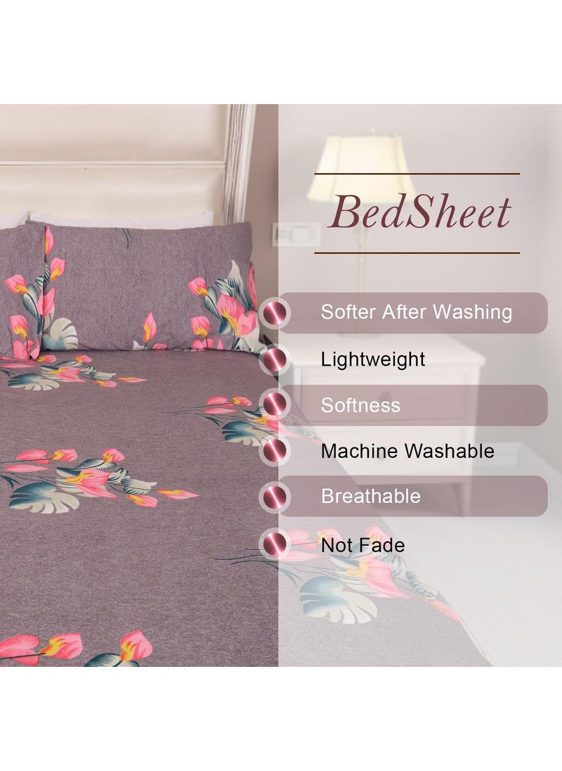 Status Contract Status Contract 2024 Cotton Rich Double Fitted Bedsheet with 2 Pillow Covers for Bed Room Home Hotel120 GSM 3801  - Image 5