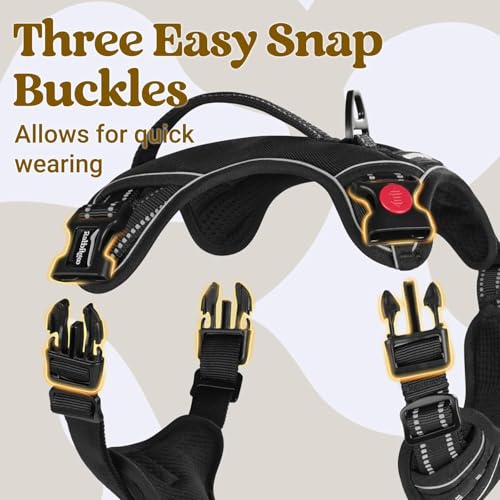 Doggo Bite Premium Reflective Dog Vest Harness| Soft Breathable| Padded Handle| Adjustable Straps & Luxury Buckle | Soft Padded Mesh | No Pull | No-Choke | Chest 28-35inch | All Medium Breed 14-22Kg - Image 5