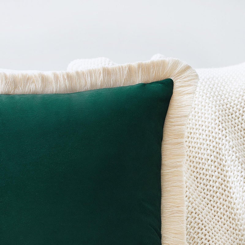 Monday Moose Moose Throw Pillow Cover Coves Cance Cance Set من 2 Soft Velvet Modern Tassel Designs Mix ومطابقة لإدراج وسادة ديكور المنزل غير مدرجة (Teal Green 18x18 Inch) - Image 3