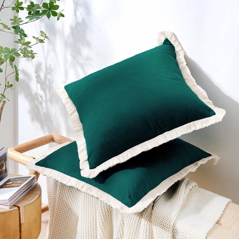 Monday Moose Moose Throw Pillow Cover Coves Cance Cance Set من 2 Soft Velvet Modern Tassel Designs Mix ومطابقة لإدراج وسادة ديكور المنزل غير مدرجة (Teal Green 18x18 Inch) - Image 5