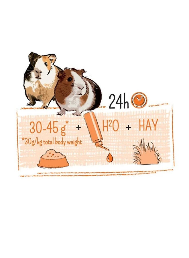 ويت مولين خنزير غينيا بور [الوزن - 700 جرام] - Image 2