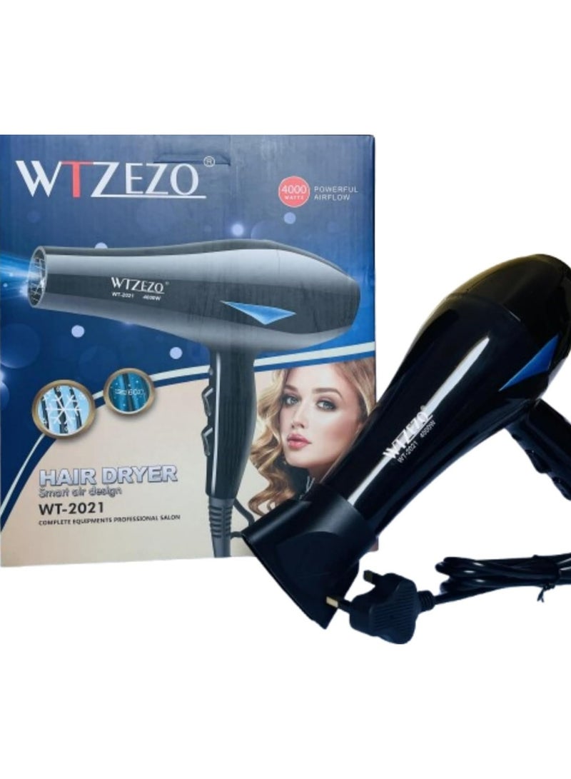 WTZEZO WT ZEZO 4000W Hair Dryer–Professional High-Power Blow Dryer with Ionic Technology, Fast Drying, Multiple Heat & Speed Settings for Home & Salon Use - Image 1
