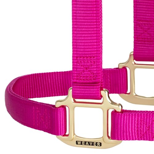 Weaver Leather Original NonAdjustable Nylon Horse Halter - Image 3