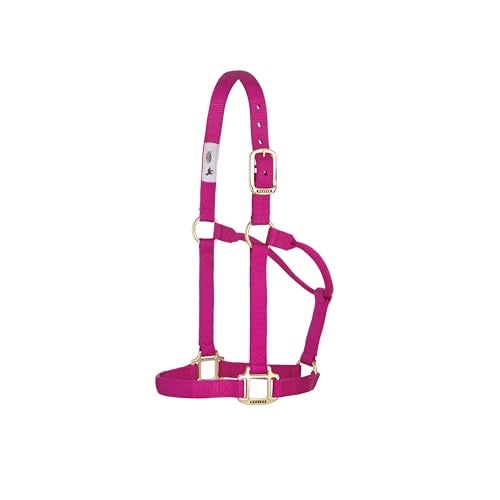 Weaver Leather Original NonAdjustable Nylon Horse Halter - Image 1
