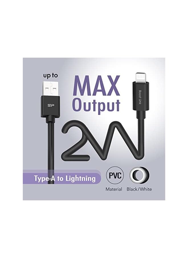 Boost Link Pvc Lk15Al Type A To Cable Mfi 1M Black - pzsku/ZC17D9B73A1A314CF58EEZ/45/_/1703063599/bd98d8bd-c189-4aaf-a633-7c329b07d363