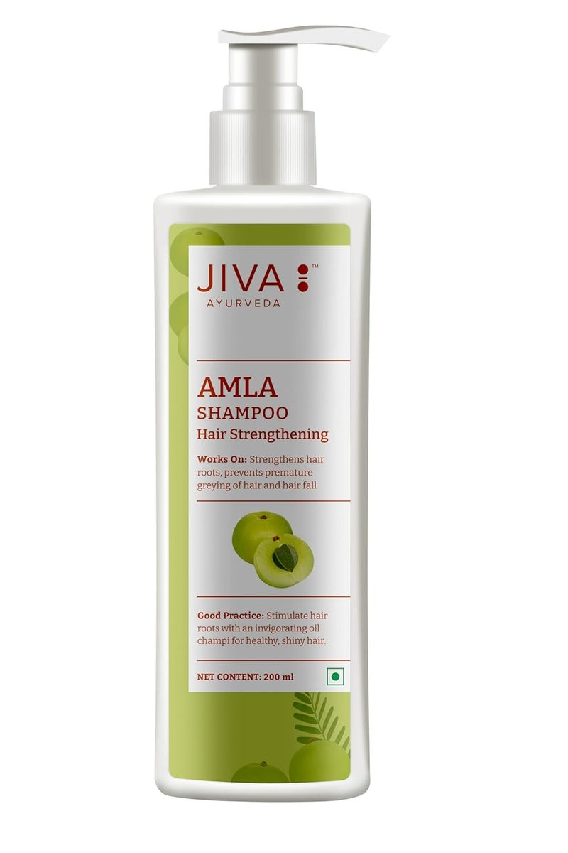 Jiva Amla Shampoo 200ml 100 Pure Natural Cleanses Scalp Strengthens Hair Prevents Hair Fall Dandruff Premature Graying Balances Pitta Dosha Pack of 3 - Image 2