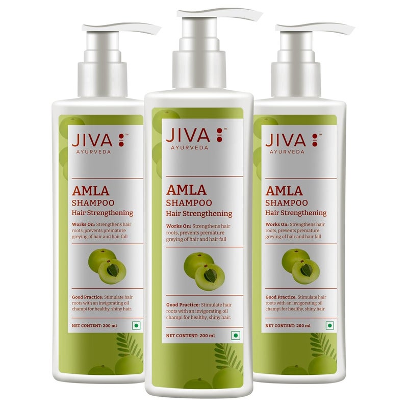 Jiva Amla Shampoo 200ml 100 Pure Natural Cleanses Scalp Strengthens Hair Prevents Hair Fall Dandruff Premature Graying Balances Pitta Dosha Pack of 3 - Image 1