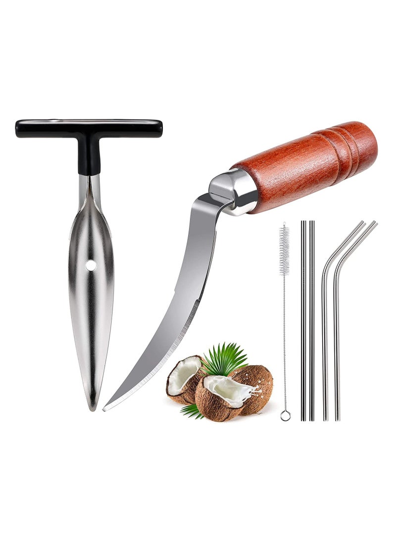 Coconut Opener Tools, Set of Stainless Steel Puncher with Straws, Brush, Meat Remover Wood Handle, For Green & Young Reusable Straws Food Grade for Thai Fresh Water, Safe and Convenient Drill Punch - pzsku/ZC17F47E2C4D1CEC8F252Z/45/_/1706779192/e39faa6d-ad28-471e-92a4-89dc52ae18ff