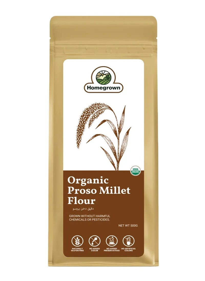 Homegrown Organic Proso Millet Flour - Image 1