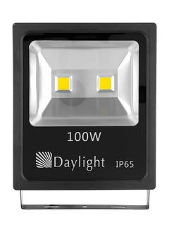 Generic Daylight G200 LED Flood Light, 100 Watt Warm 