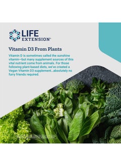 Life Extension Vegan Vitamin D3 Joint/Bone Health Immune Support Nongmo Gluten Free 60 Count  - Image 5