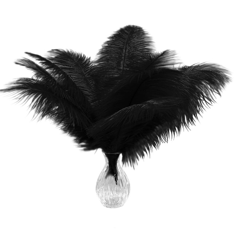 Piokio 20pcs Natural Black Ostrich Feathers 1012 inch 2530cm Bulk Feathers for Home Decoration and DIY Clothes Decoration Gatsby Decorations - Image 1