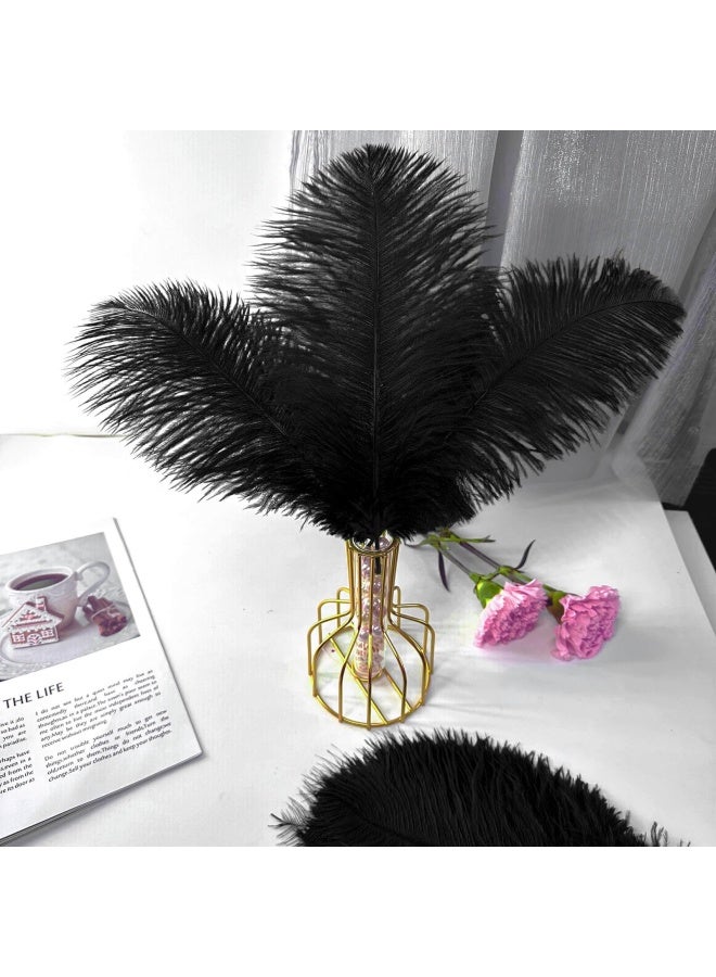 Piokio 20pcs Natural Black Ostrich Feathers 1012 inch 2530cm Bulk Feathers for Home Decoration and DIY Clothes Decoration Gatsby Decorations - Image 4