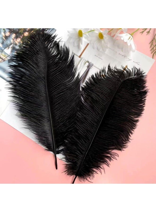 Piokio 20pcs Natural Black Ostrich Feathers 1012 inch 2530cm Bulk Feathers for Home Decoration and DIY Clothes Decoration Gatsby Decorations - Image 3